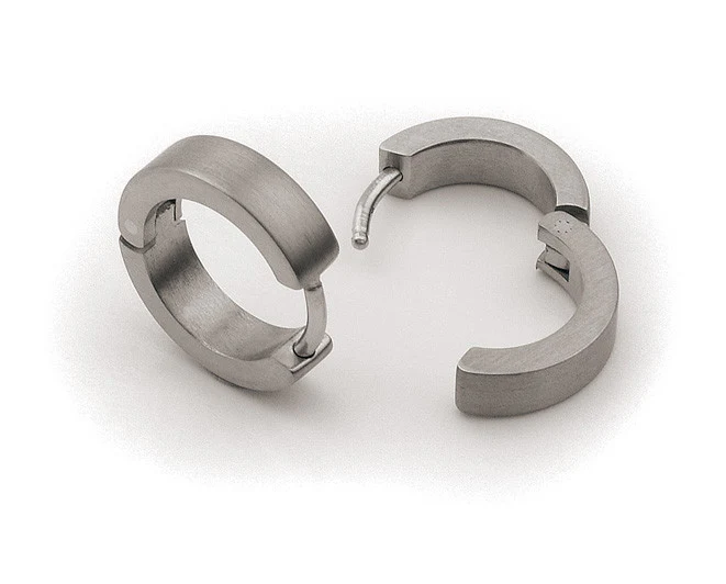 0510-01 Boccia Titanium Earrings - Image 2