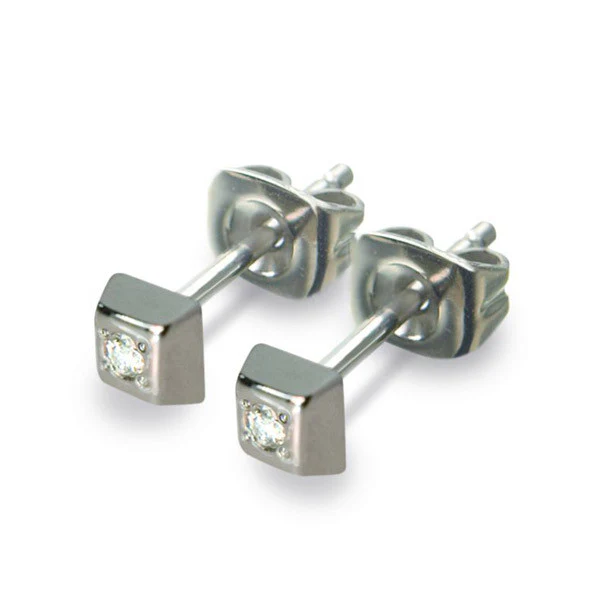 0538-01 Boccia Titanium Earrings - Image 2