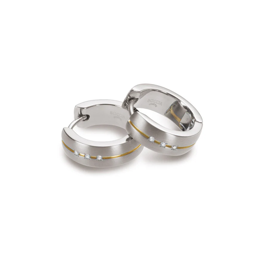 0539-10 Boccia Titanium Earrings - Image 2