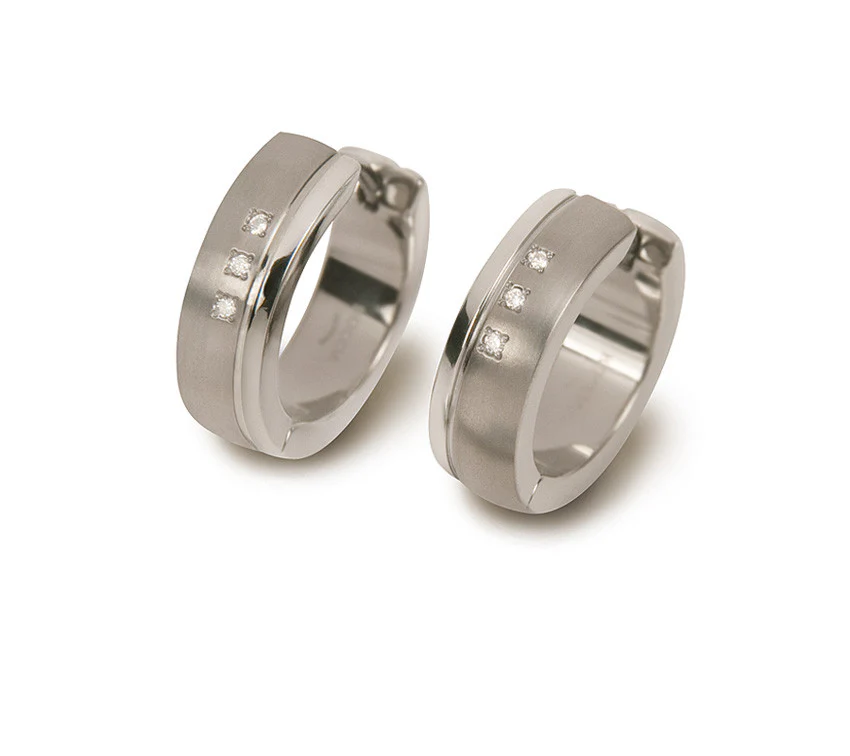 0539-13 Boccia Titanium Earrings - Image 2