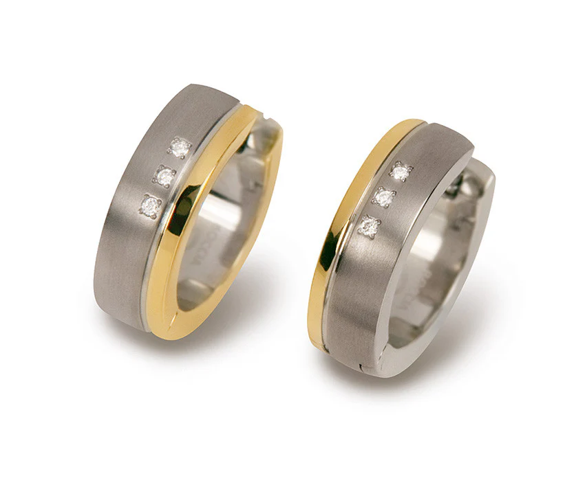 0539-14 Boccia Titanium Earrings - Image 2
